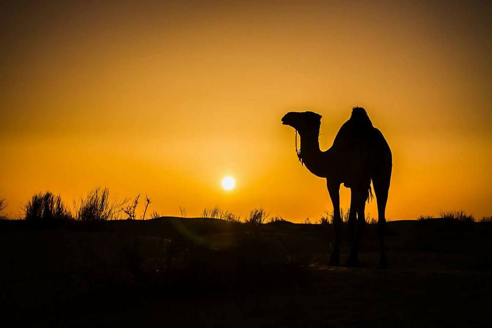 Sahara