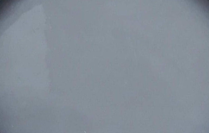 الصورة المصغرة: سلقون برايمر