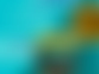 ستون جارد الشبح                                         Stone Guard ( stone insulator 