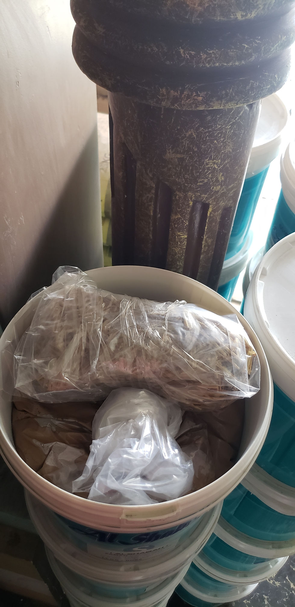 الصورة المصغرة: زمان الشبح 14كجم