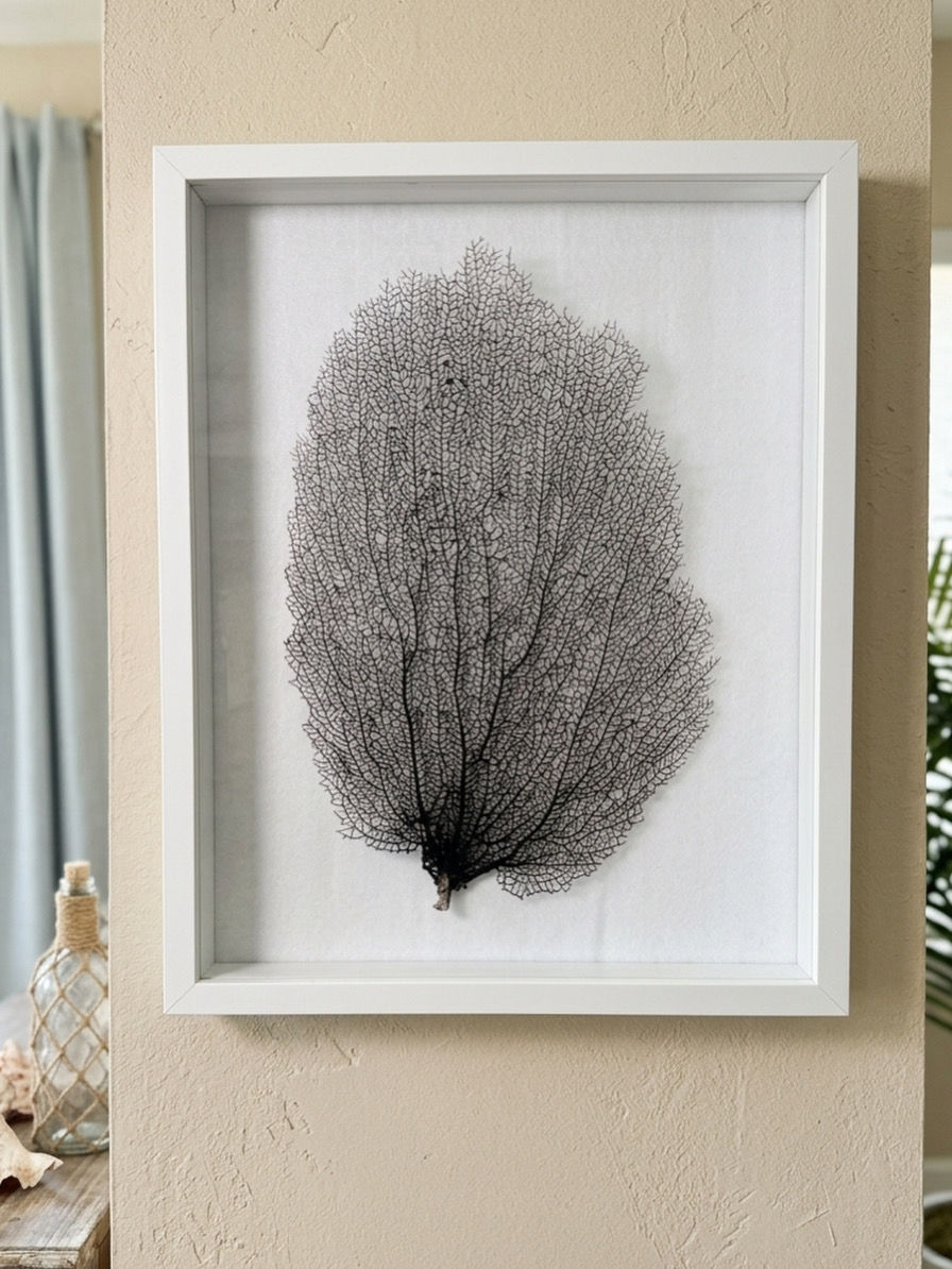 Oceanic Lace: Hand-Selected Natural Brown Sea Fan Specimen