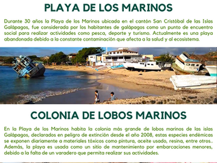 Caso: Playa de los Marinos