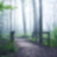 michael-krahn-2nvJu_GXmO0-unsplash_edited.jpg