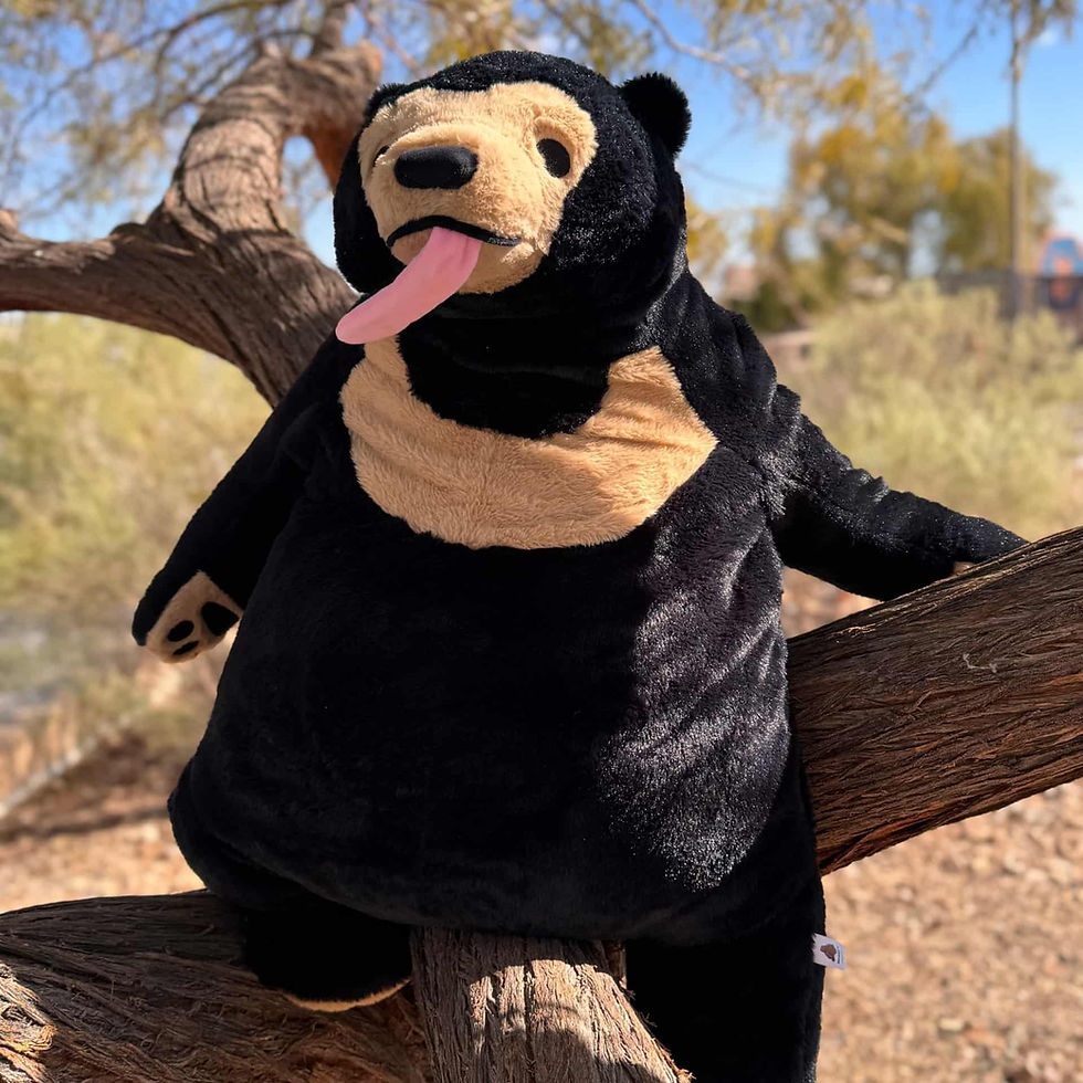 Thumbnail: Large Solskog sitting in a tree