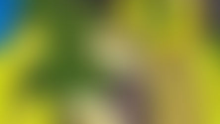 FOODIE’S ADVENTURE THROUGH RH