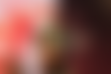 Vendas abertas para o último show do Natiruts em BH