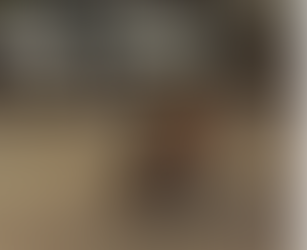 Santuário do Caraça registra filhote de lobo-guará após incêndios