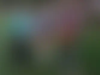 Festa Junina do Caraça agita o destino turístico com várias atrações neste sábado