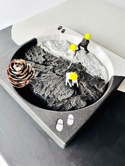 Metamorphose der Borkenläufer (Gelbkopf)