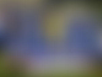 U16 Div 2 Cup Winners