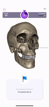 potter gameplay screenshot showing a 3D skull model with interactive flag placement for anatomical labeling. Cards display options while hand gestures navigate the learning interface.