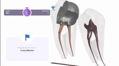 Desktop adaptation of mobile spotter gameplay showing 3D tooth anatomy with flag placement, card transitions, and score timer. Custom UI redesign maintains app authenticity for widescreen format.