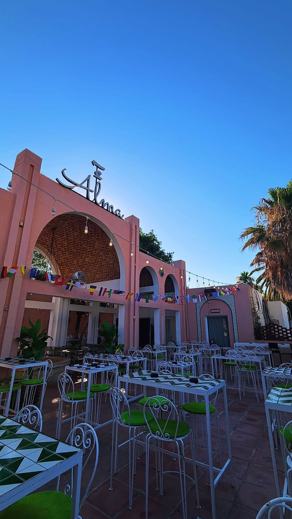 Alma terrace bar lounge la marsa gammarth happy hour beer biere .jpg