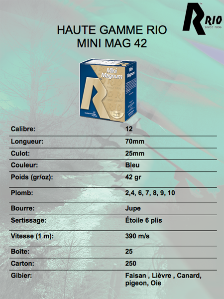 minimag_fiche.png