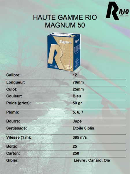 magnum_fiche.png