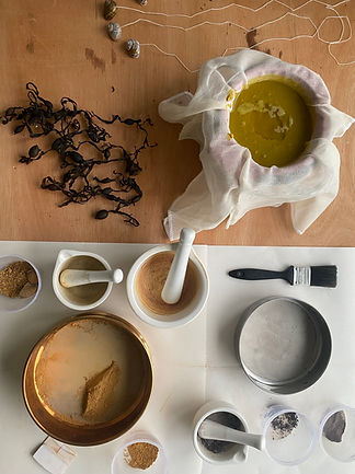 snails pace pigments4.jpg