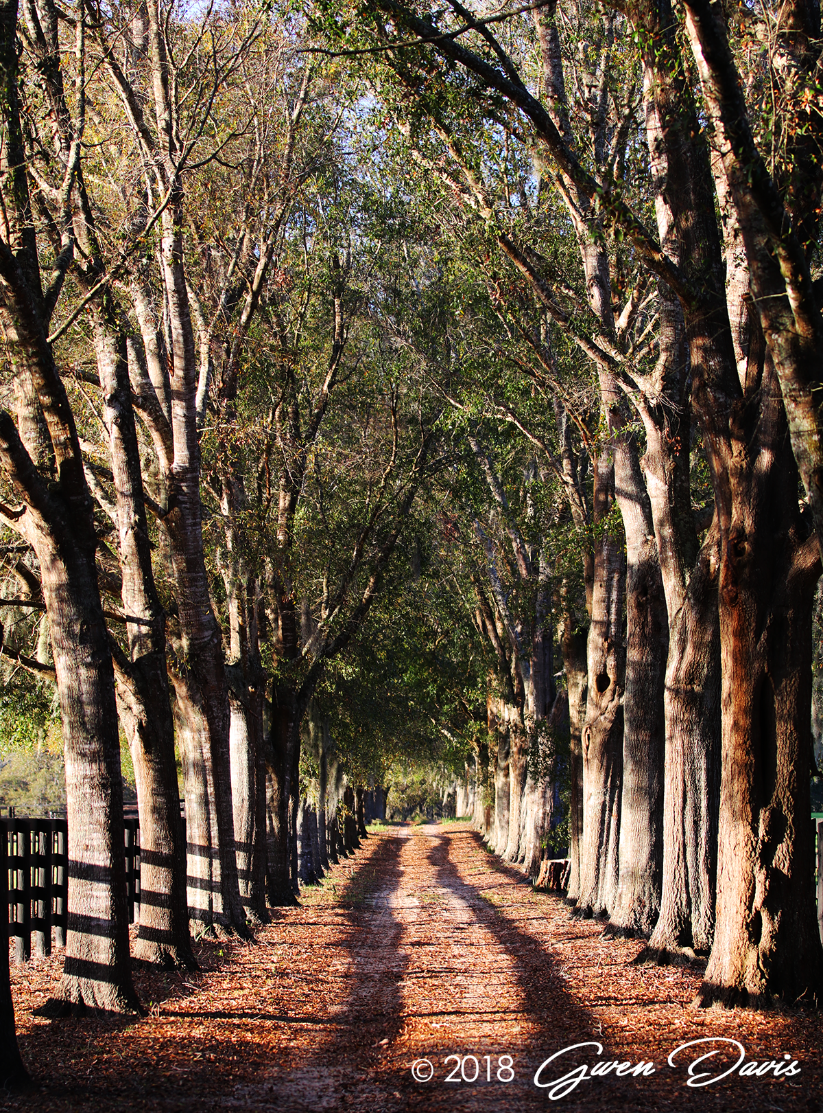 Courtland Farm, Ocala, FL