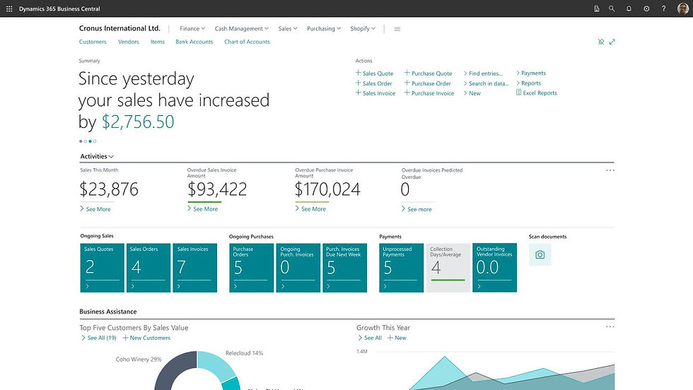 Business Central Dashboard
