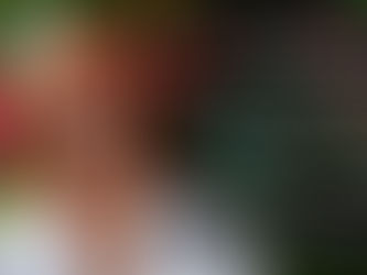 Curso Técnicas de Comunicação e Apresentação