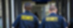 security-guards-7985917_1280_edited.jpg