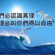 真理叫人自由  －Truth sets free