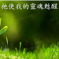 祂使我的靈魂甦醒 - He restores my soul 