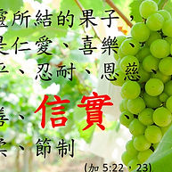 聖靈的果子(7) 信實 - Fruit of the Spirit(7) - faithfulness