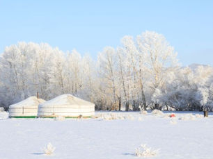 Битүүн болон шинийн нэгэнд цасаар шуурч болзошгүй