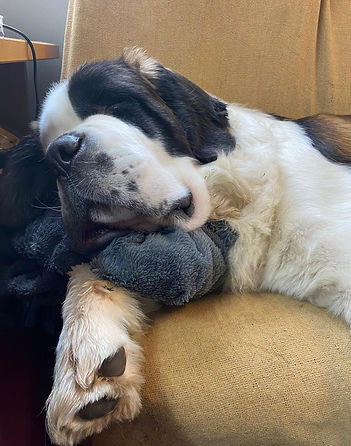 WhatsApp Image 2024-09-02 at 12.22.48_d1ae6ff5.jpg