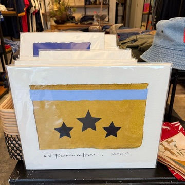 Flag 45