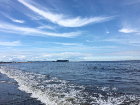 神奈川：金山雄樹