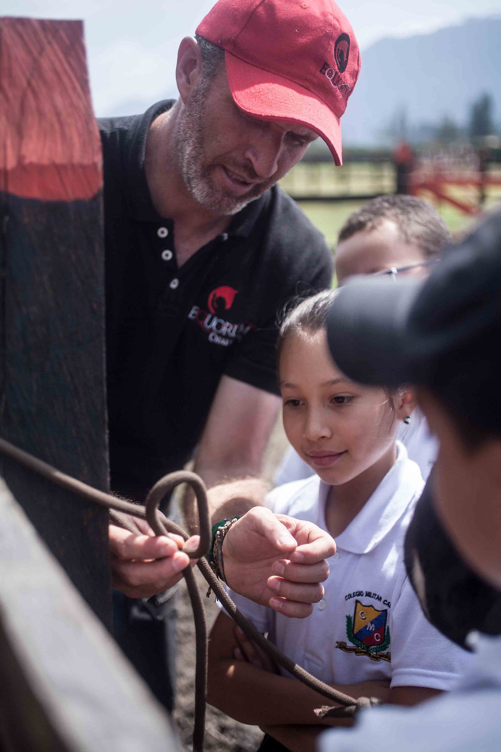 EQUORUM CHLANERIA CABALOO CRIOLLO COLOMBIANO