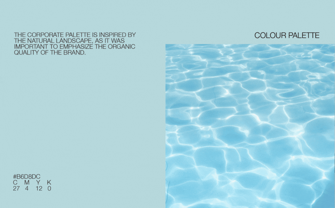 whisky ikigai colour palette