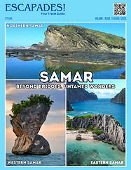 COVER.png