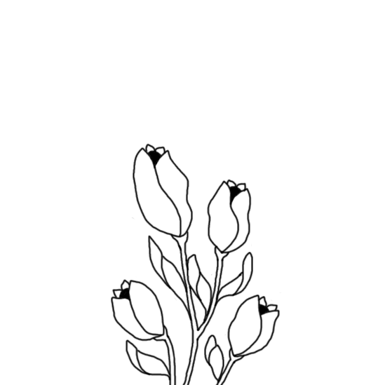 bloom-animation.gif