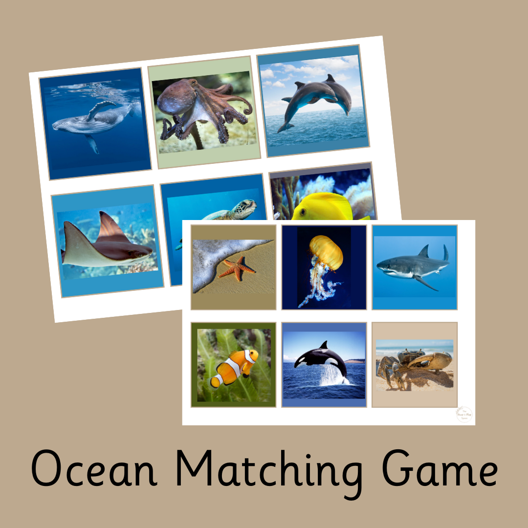 Ocean Life & Sea Creatures Matching Game | PRINTABLE
