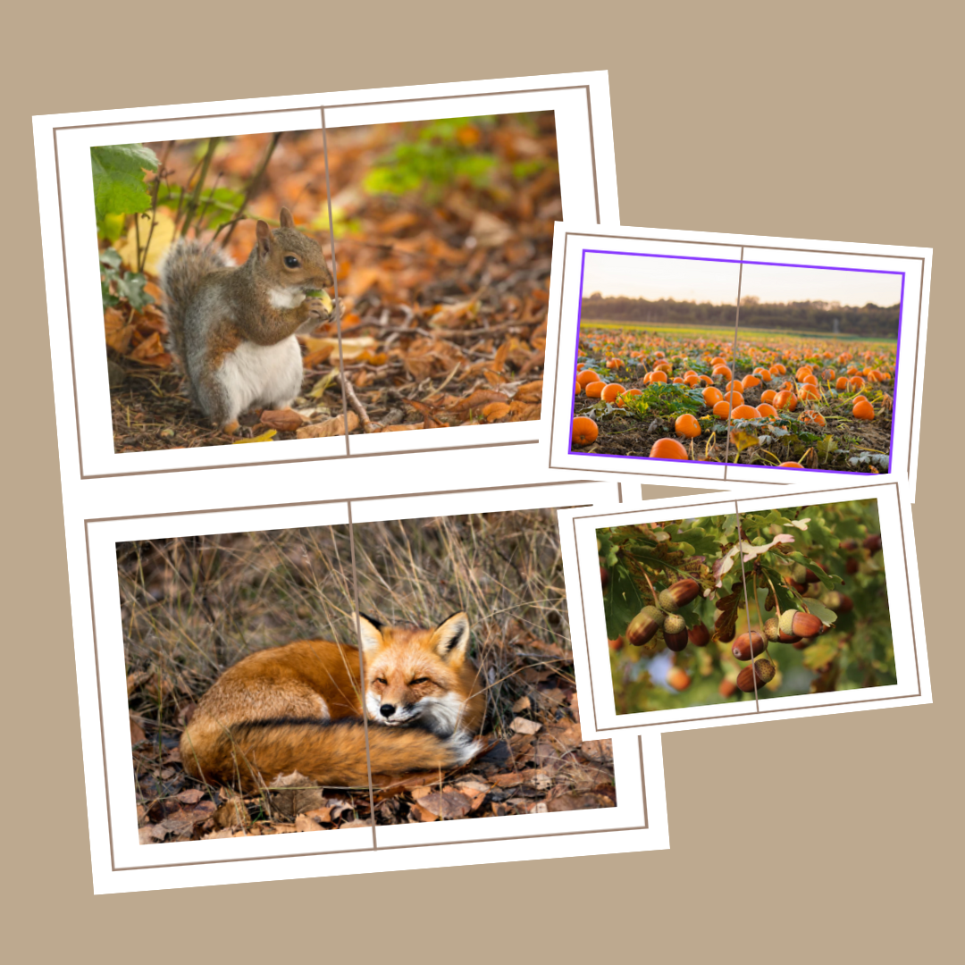 Autumn Jigsaw 2-part Puzzle Halves | PRINTABLE