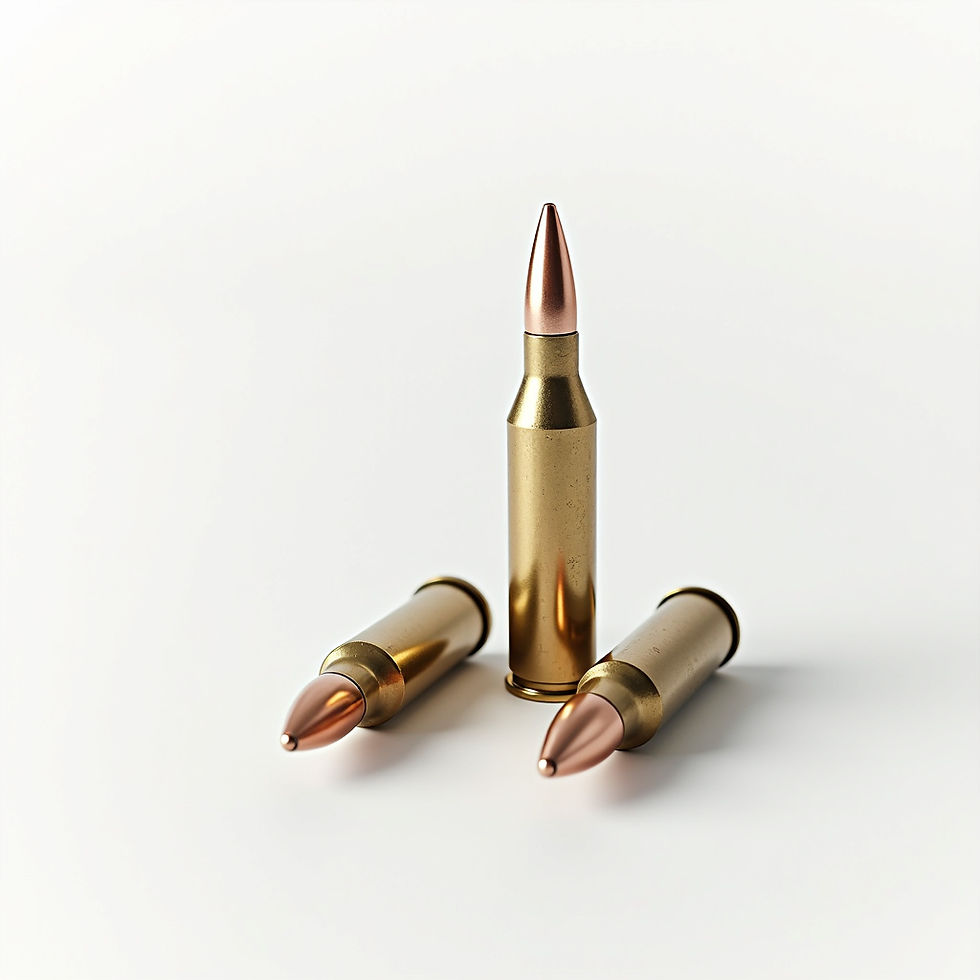 223 Remington Rounds