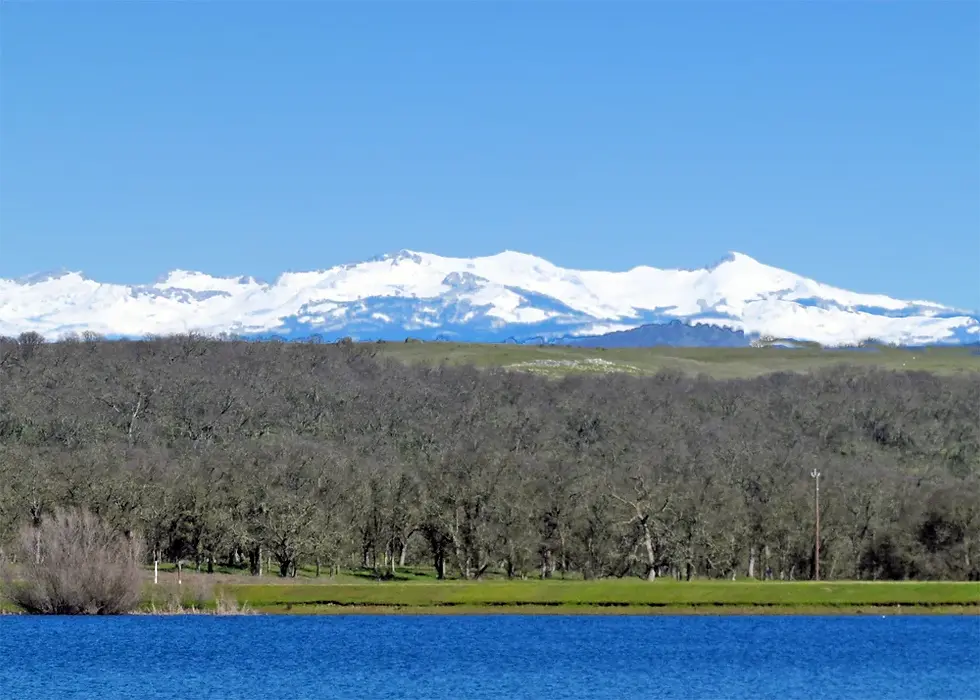 Calero Lake View