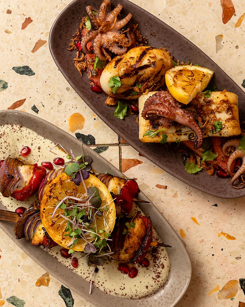 By Tom Lane - Terra Jan 2026-51.jpg