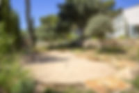 Image terrain de pétanque 4.jpg