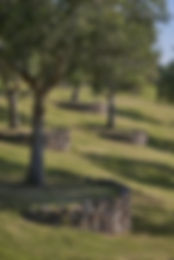 Aménagement jardin 1.jpg