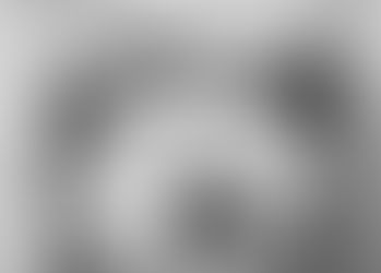 You Ask. I'll Answer!