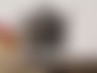 Kāpēc arvien vairāk cilvēku izvēlas InSinkErator? 