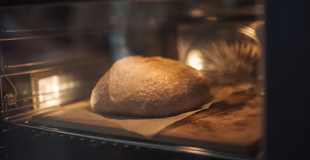 2025_03_19 Prenta-112.jpg