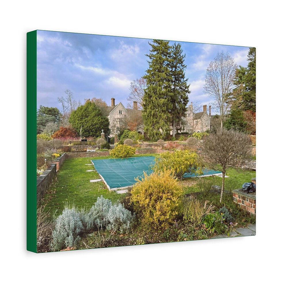 Thumbnail: Planting Fields Canvas Print