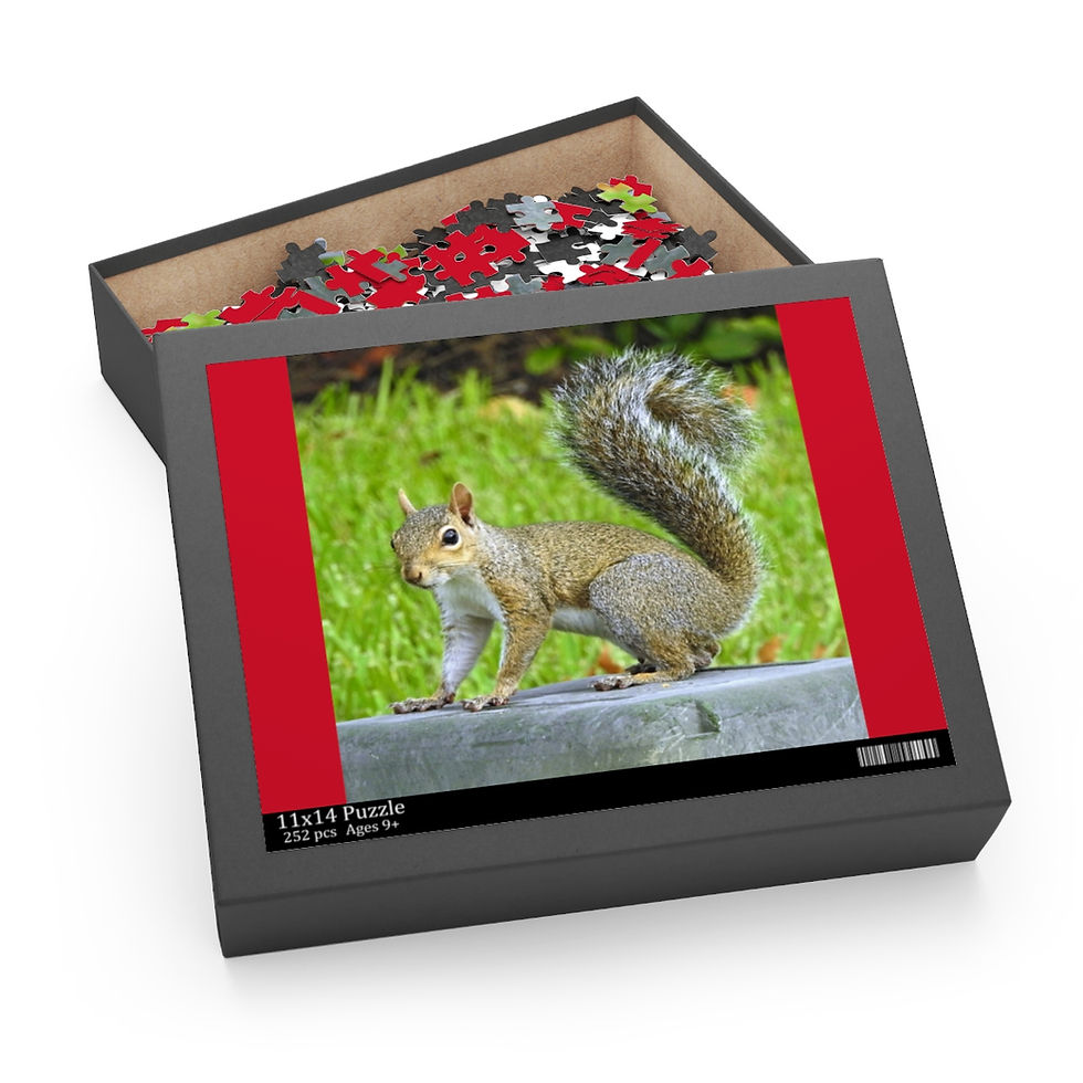 Thumbnail: SQUIRREL (120, 252, 500-Piece)