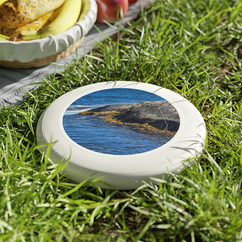 Thumbnail: Flying By the Rock Frisbee