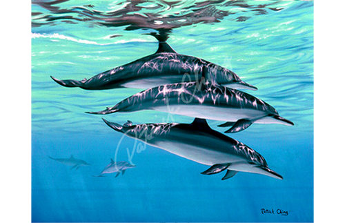 Three Graces | Patrick Ching