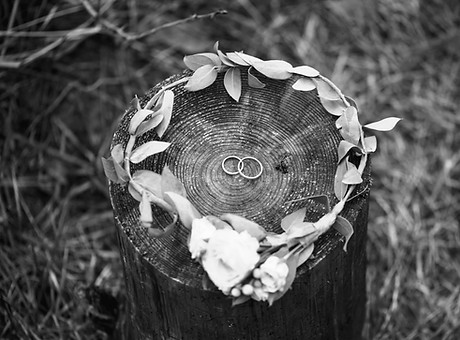 Wedding Rings and Bridal Crown